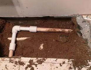 蕉岭测漏水哪家好