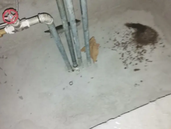 蕉岭卫生间测漏水价格明细