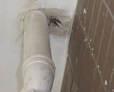 蕉岭漏水检测哪家好